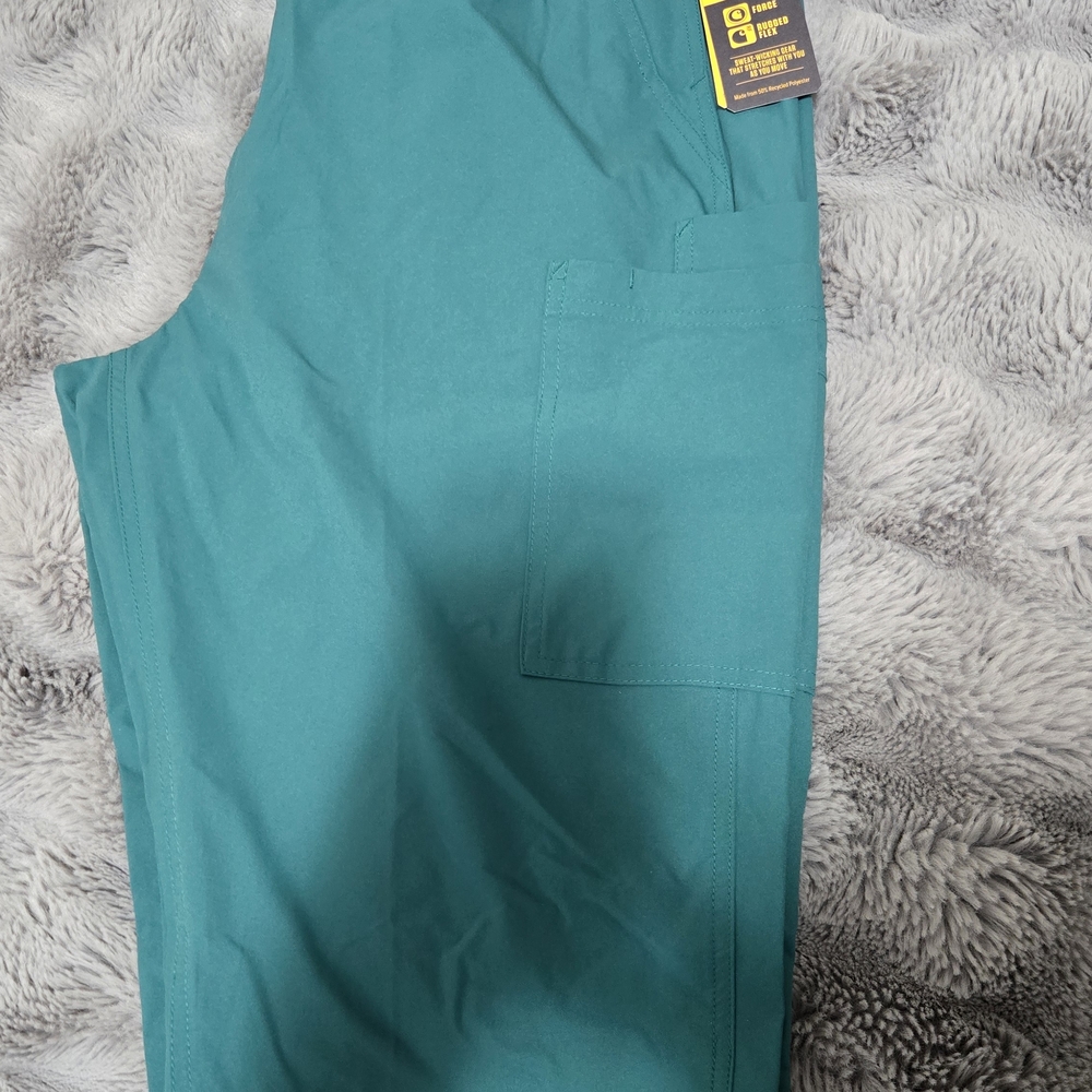 Carhartt Teal Pants